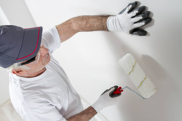 Best Black Mold Removal  in West Park, FL