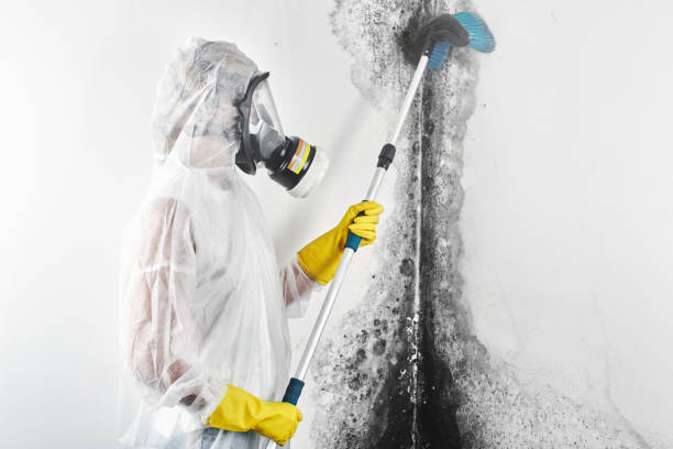 Best Airborne Mold Testing  in West Park, FL