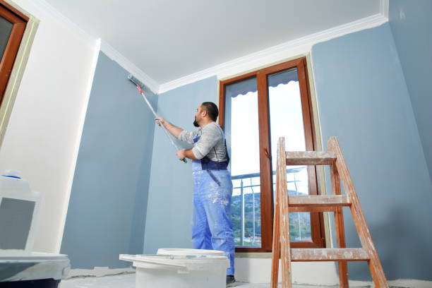 Best Mold-Related Health Consultation  in West Park, FL