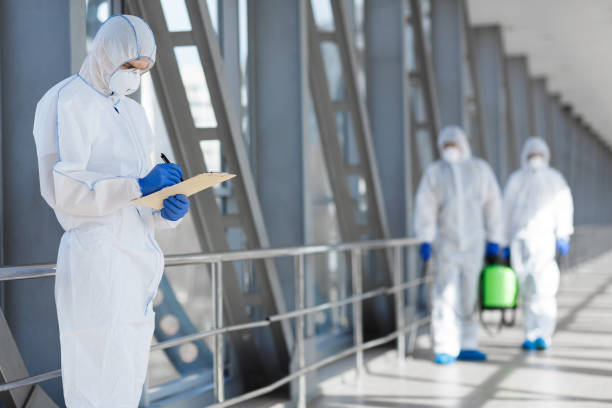 Best Black Mold Removal  in West Park, FL
