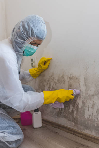 Best Mold Remediation for Healthcare Facilities  in West Park, FL