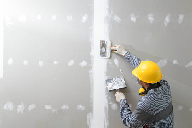 Best Water Damage & Mold Remediation  in West Park, FL