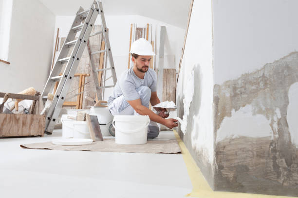 Best Asbestos and Lead Testing During Mold Inspection  in West Park, FL