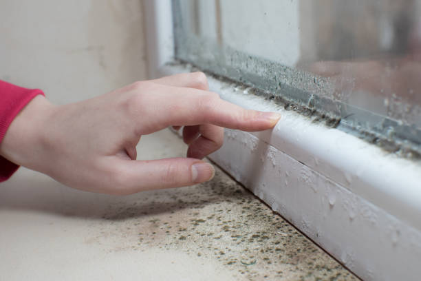 Best Crawl Space Mold Remediation  in West Park, FL