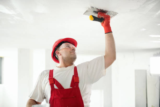 Best Post-Remediation Verification Testing  in West Park, FL