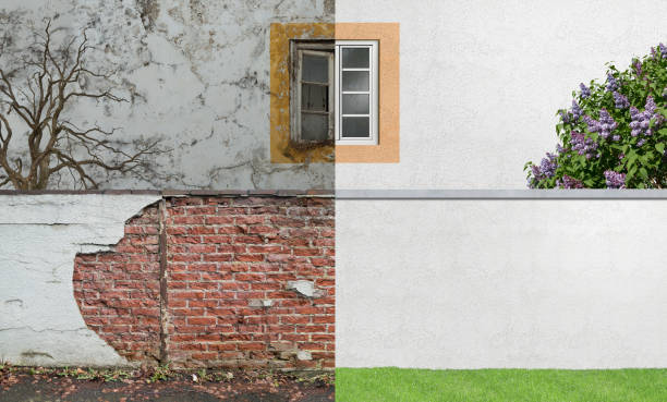 Mold Remediation for Rental Properties in West Park, FL