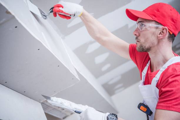 Best Mold Remediation for Rental Properties  in West Park, FL